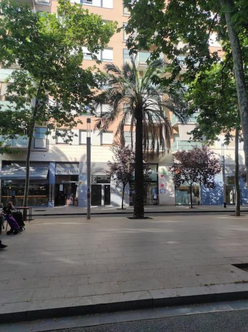 New! Amazing 2 Bedroom Apartment in Rambla Del Poblenou 2