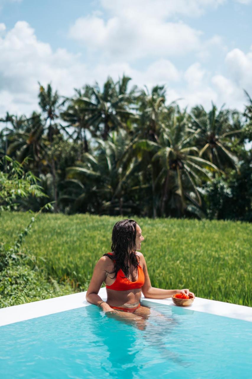 Woywoy Escape Samu (Adults Only) 2