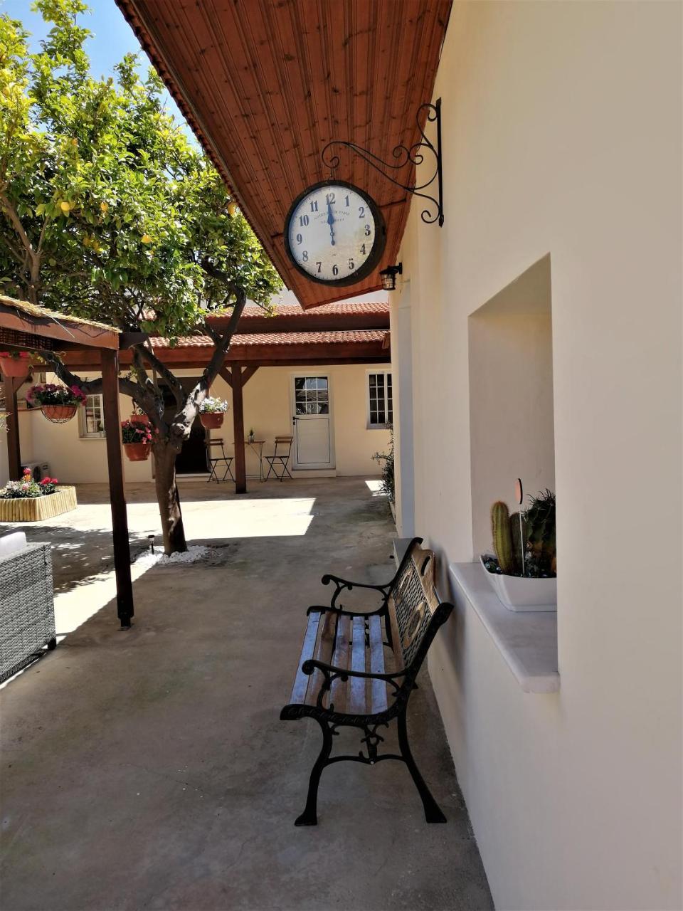 Lemon Tree Courtyard