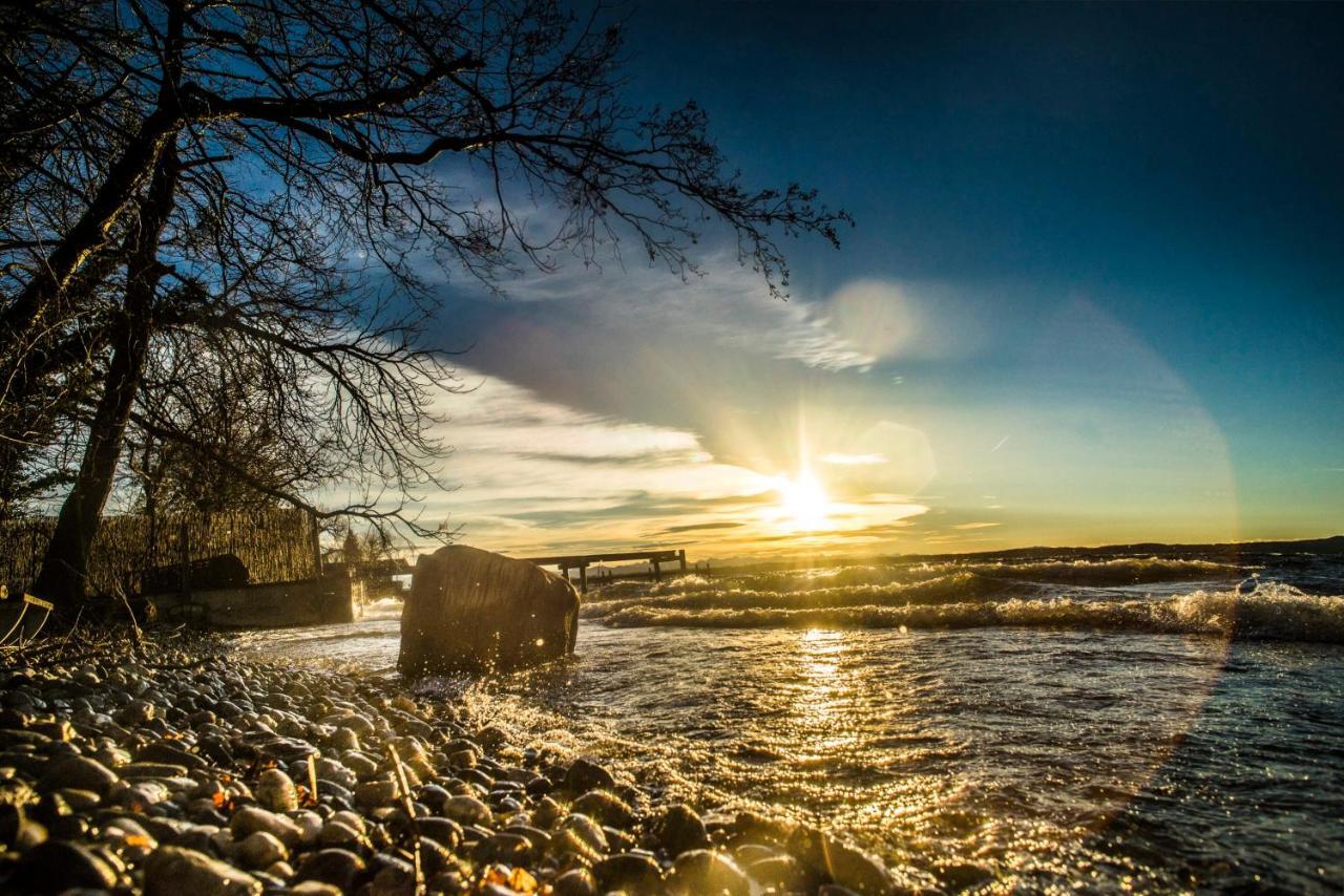 Homely Stay in a Romantic Lodging with Sauna&Gym (Adults Only)