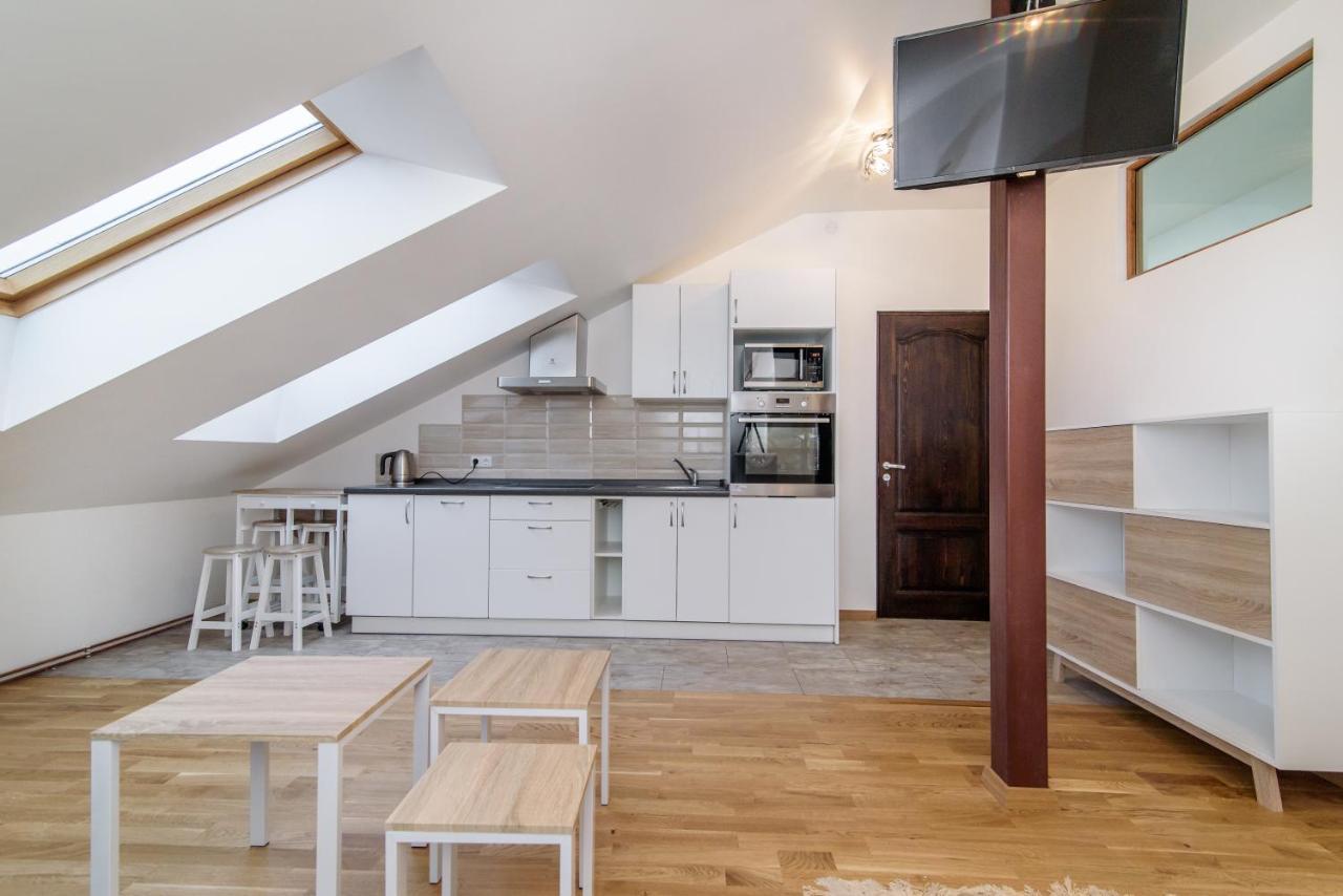 Vilnius Old Town Happiness 2