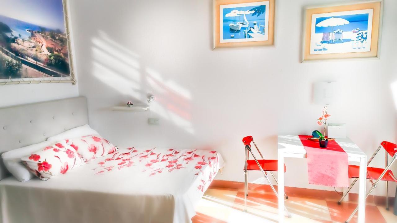 Elena Studio (Adults Only) 2