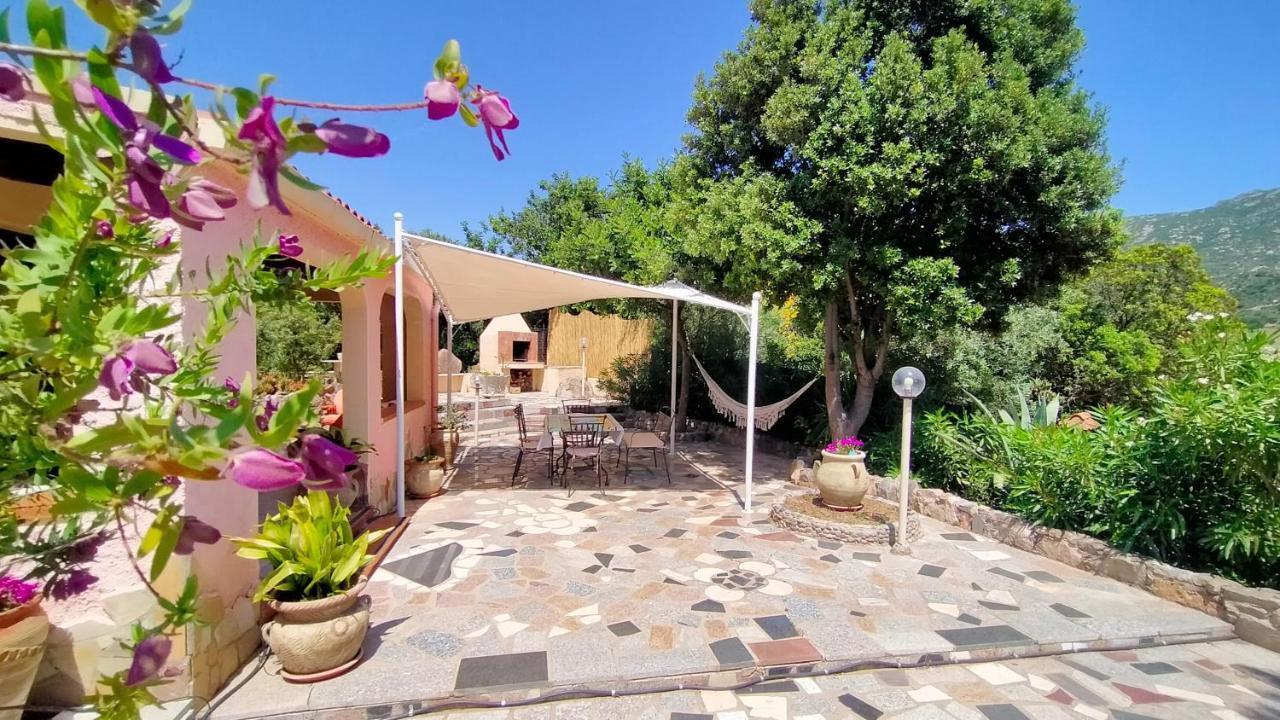 Doxina - Belocations