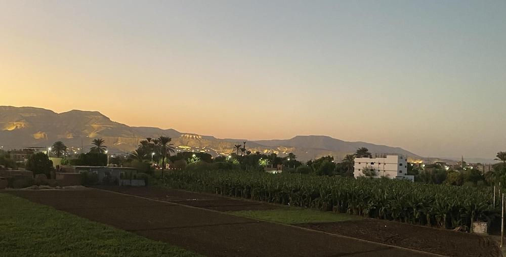 Lemon Tree Guest House And Swimming Pool